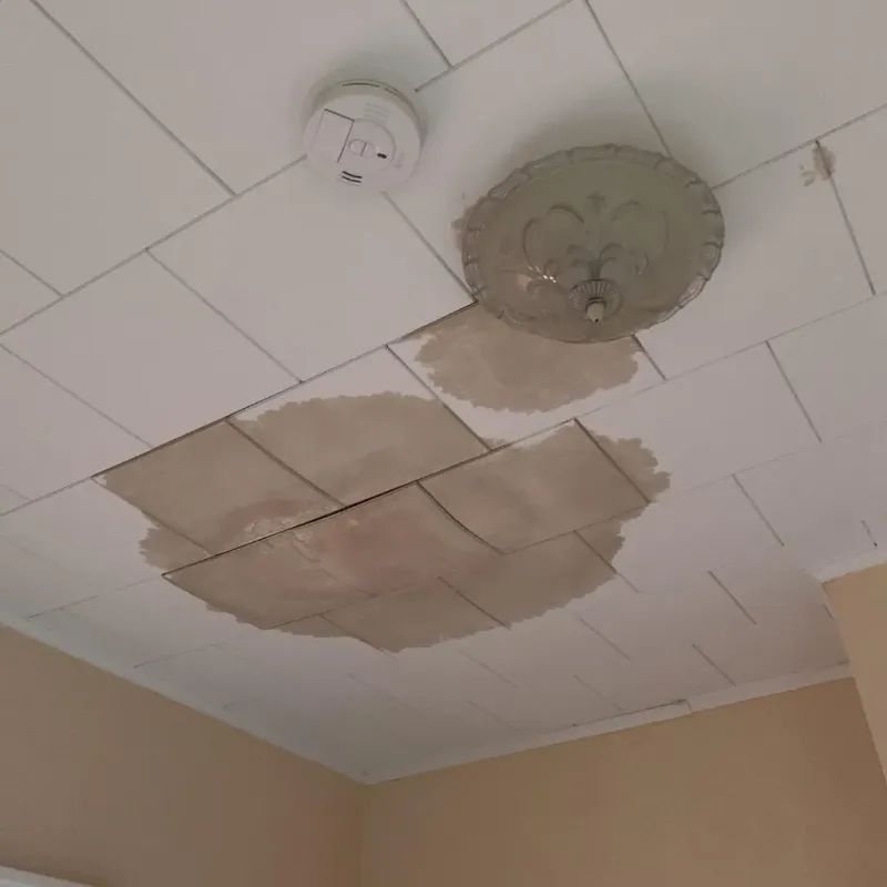 Ceiling Water Damage Repair in Polk County, NE