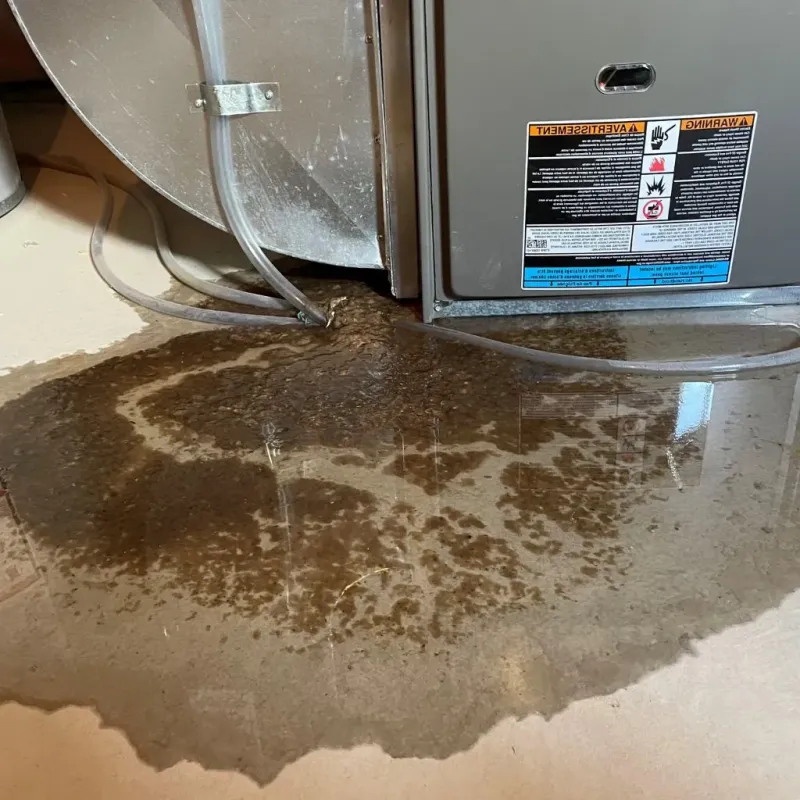 Pipe Burst and Leak Restoration in Polk County, NE